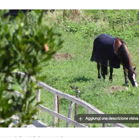 Moderno E Comodissimo A Sestri Levante