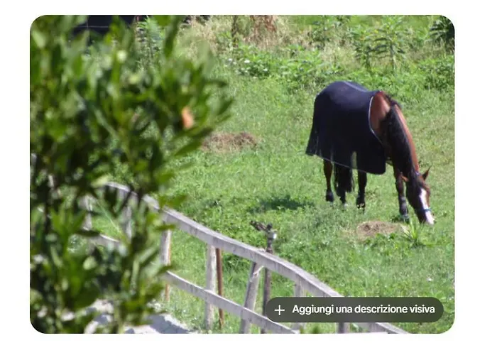 Moderno E Comodissimo A Sestri Levante
